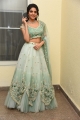 Thellavarithe Guruvaram Actress Misha Narang Photos