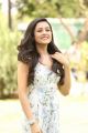 Actress Mishti Chakraborty Cute Stills @ Burra Katha Teaser Launch