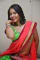 Telugu Actress Misra Hot in Half Saree Stills
