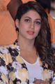 Actress Lavanya Tripathi @ Mister Pre Release Function Stills