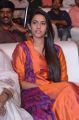 Niharika Konidela @ Mister Pre Release Function Stills