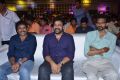 Srinu Vaitla, Chiranjeevi, Sekhar Kammula @ Mister Pre Release Function Stills