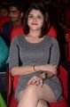 Mithali Handa Photos at Jakkanna Audio Release