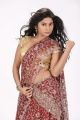 Actress Mithuna Hot in Saree Photoshoot Images