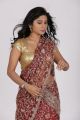 Telugu Actress Mithuna Hot in Saree Photoshoot Images