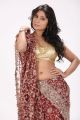 Actress Mithuna Waliya Hot in Saree Photoshoot Images