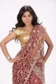 Actress Mithuna Waliya Hot in Saree Photoshoot Images