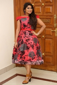 Actress Mithuna Waliya Red Dress Pics