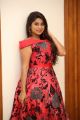 Actress Midhuna New Pics in Red Dress