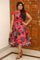 Actress Mithuna Waliya Red Dress Pics