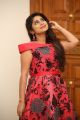 Actress Mithuna Waliya New Pics in Red Dress