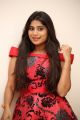 Actress Mithuna Waliya Red Dress Pics