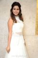 Actress Manali Rathod @ MLA Pre Release Function Stills