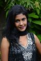 Actress Suhasini @ Moch Movie Audio Launch Stills