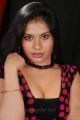 Lavanya Photo Shoot Stills