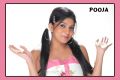 Telugu Model Pooja Portfolio Stills