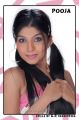 Telugu Model Pooja Portfolio Stills