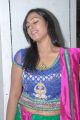 Model Tejaswini at Kalanikethan New Wedding Collections Launch