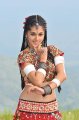 Mogudu Actress Tapsee Hot Stills