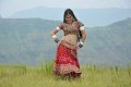 Mogudu Actress Tapsee Hot Stills