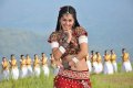 Mogudu Actress Tapsee Hot Stills