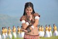 Mogudu Actress Tapsee Hot Stills