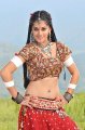 Mogudu Actress Tapsee Hot Stills