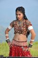 Mogudu Actress Tapsee Hot Stills