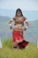 Mogudu Actress Tapsee Hot Stills