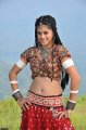 Mogudu Actress Tapsee Hot Stills