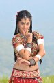 Mogudu Actress Tapsee Hot Stills