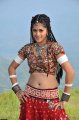 Mogudu Actress Tapsee Hot Stills