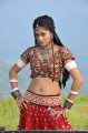 Mogudu Actress Tapsee Hot Stills