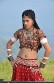 Mogudu Actress Tapsee Hot Stills