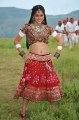 Mogudu Actress Tapsee Hot Stills