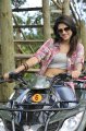 Mogudu Shraddha Das Hot Stills