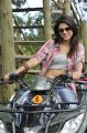 Mogudu Shraddha Das Hot Stills