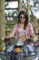 Mogudu Shraddha Das Hot Stills