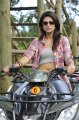 Mogudu Shraddha Das Hot Stills