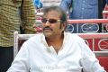 Mohan Babu 40 Years Event Stills