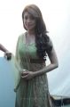 Actress Pranitha at Mohan Babu New Movie Opening Photos