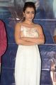 Actress Trisha Krishnan @ Mohini Movie Pre Release Event Stills