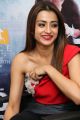 Actress Trisha @ Mohini Movie Press Meet Stills