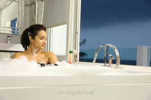 Mohini Movie Actress Trisha Hot Photos HD