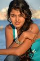 Vennela 1 1/2 Movie Heroine Monal Gajjar Latest Hot Pics
