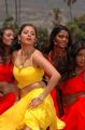 Actress Sindhu Tolani in Mondi Mogudu Movie Stills