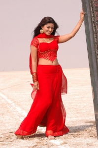 Actress Sneha in Mondi Mogudu Movie New Photos