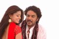 Sneha, Sundar C in Mondi Mogudu Movie New Photos