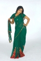 Actress Monica Cute In Green Saree Latest Photo Shoot Stills