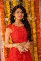 Telugu Actress Monica Sharma Red Dress Photos